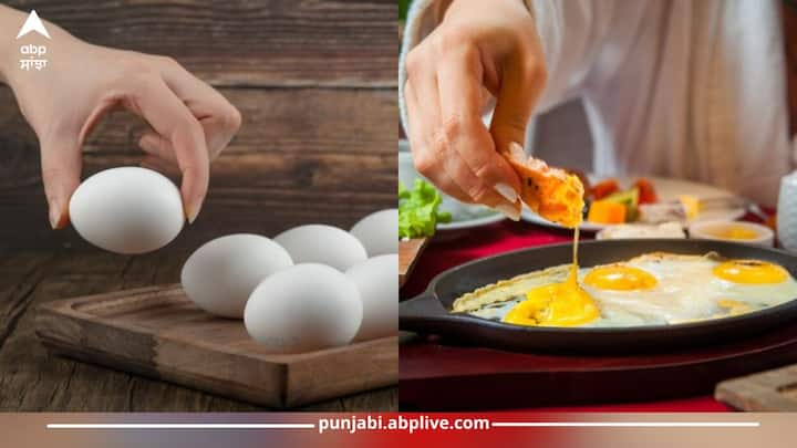 Egg in summer: ਅੰਡਾ ਇੱਕ ਸਿਹਤਮੰਦ ਅਤੇ ਸੁਪਰਫੂਡ ਹੈ, ਜਿਸ ਵਿੱਚ ਵਿਟਾਮਿਨ ਬੀ12, ਬੀ6, ਬੀ5, ਵਿਟਾਮਿਨ ਏ, ਵਿਟਾਮਿਨ ਡੀ ਤੋਂ ਇਲਾਵਾ ਇਹ ਫੋਲੇਟ, ਕੈਲਸ਼ੀਅਮ ਅਤੇ ਹੋਰ ਕਈ ਪੋਸ਼ਕ ਤੱਤਾਂ ਪਾਏ ਜਾਂਦੇ ਹਨ। ਪਰ ਕੁੱਝ ਲੋਕ ਗਰਮੀਆਂ 'ਚ ਇਸ ਦਾ..