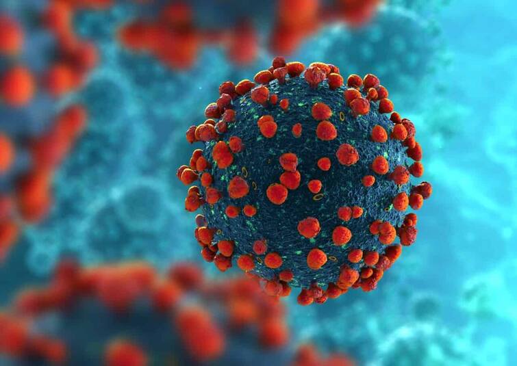 Increase   Covid NEW Variant Flirt cases  if you experience these symptoms, is the vaccine ineffective Covid NEW variant: કોરોનાનો ન્યૂ   વેરિયન્ટ Flirtના કેસમાં વધારો, આ લક્ષણો અનુભવાય તો સાવધાન,   શું રસી પણ આ બેઅસર