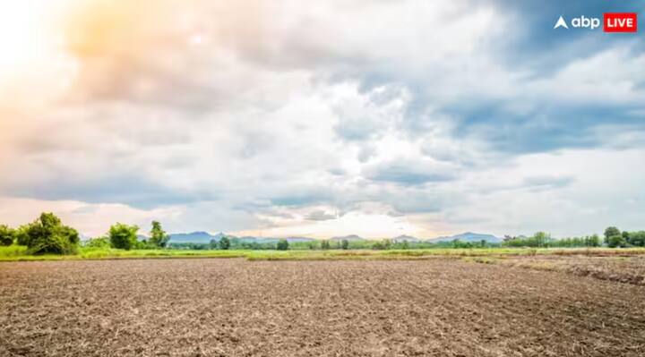 Agriculture: ਕਣਕ ਦੀ ਵਾਢੀ ਤੋਂ ਬਾਅਦ ਜ਼ਿਆਦਾਤਰ ਕਿਸਾਨਾਂ ਦੇ ਖੇਤ ਖਾਲੀ ਹੋ ਜਾਂਦੇ ਹਨ। ਇਸ ਤੋਂ ਬਾਅਦ, ਤੁਸੀਂ ਆਪਣੇ ਖੇਤ ਵਿੱਚ ਕੁਝ ਹੋਰ ਫਸਲਾਂ ਉਗਾ ਕੇ ਵਧੀਆ ਮੁਨਾਫਾ ਕਮਾ ਸਕਦੇ ਹੋ।