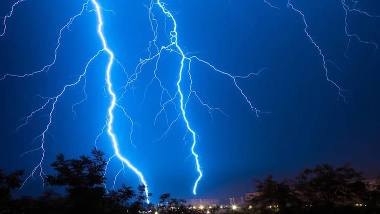 3 Dead In Lightning Strikes In Telangana News in Telugu Rains In Telangana: తెలంగాణలో విషాదం- ఒకే మండలంలో రెండు పిడుగులు, ముగ్గురు మృతి