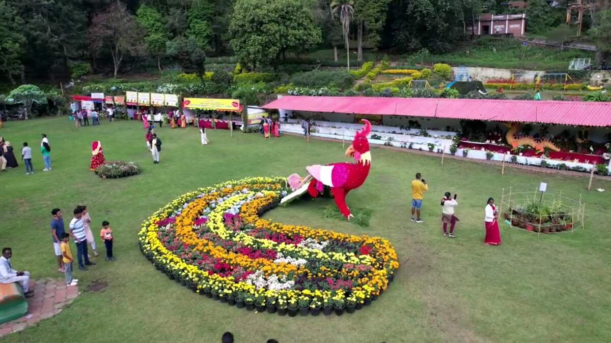 கொடைக்கானலில் கொட்டும் மழையில் மலர் கண்காட்சியை ரசிக்கும் சுற்றுலா பயணிகள் ..