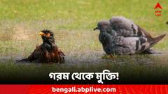 Weather Update: কমবে দহন, আসছে বৃষ্টি, ভোটের দিন ভিজবে এই জেলাগুলি