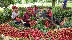 Weather Update: কমবে দহন, আসছে বৃষ্টি, ভোটের দিন ভিজবে এই জেলাগুলি