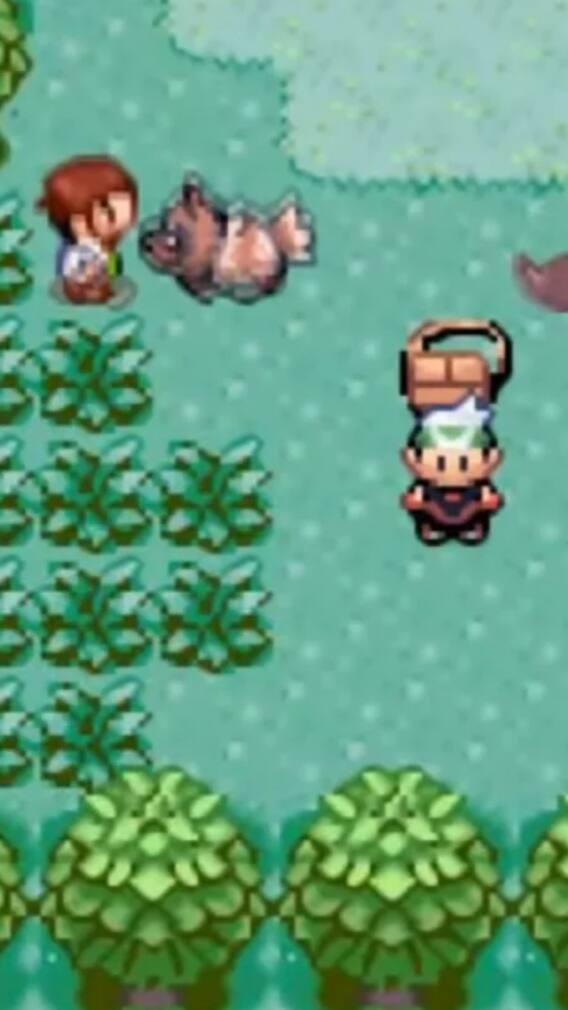 Pokemon Emerald Cheat Codes: How To Have Infinite Money