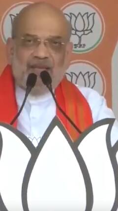 Elections 2024: 'चार चरण में INDIA गठबंधन का सूपड़ा साफ हो गया है'- Amit Shah | ABP Shorts