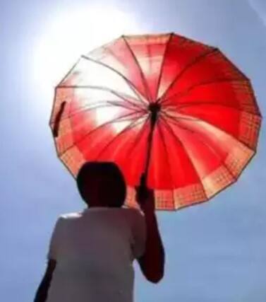 ਦਿੱਲੀ-ਯੂਪੀ-ਪੰਜਾਬ ਲਈ ਹੀਟਵੇਵ ਦਾ 'ਰੈੱਡ ਅਲਰਟ' ਜਾਰੀ