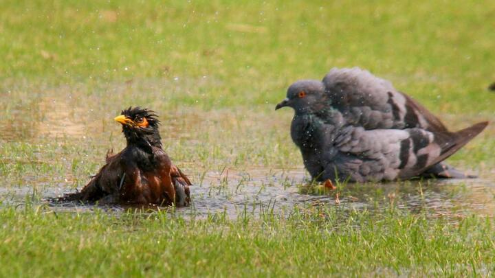 রবিবার দক্ষিণ-পূর্ব বঙ্গোপসাগর এবং দক্ষিণ আন্দামান সাগর সহ নিকোবর দ্বীপপুঞ্জে ঢুকে পড়বে বর্ষা।