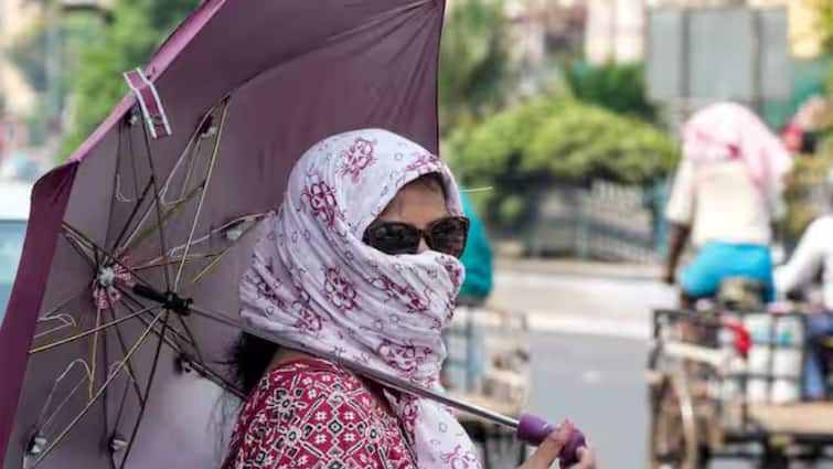 Najafgarh Sizzles As Delhi Records Nation's Highest Temperature At 47.8°C, Heatwave To Persist