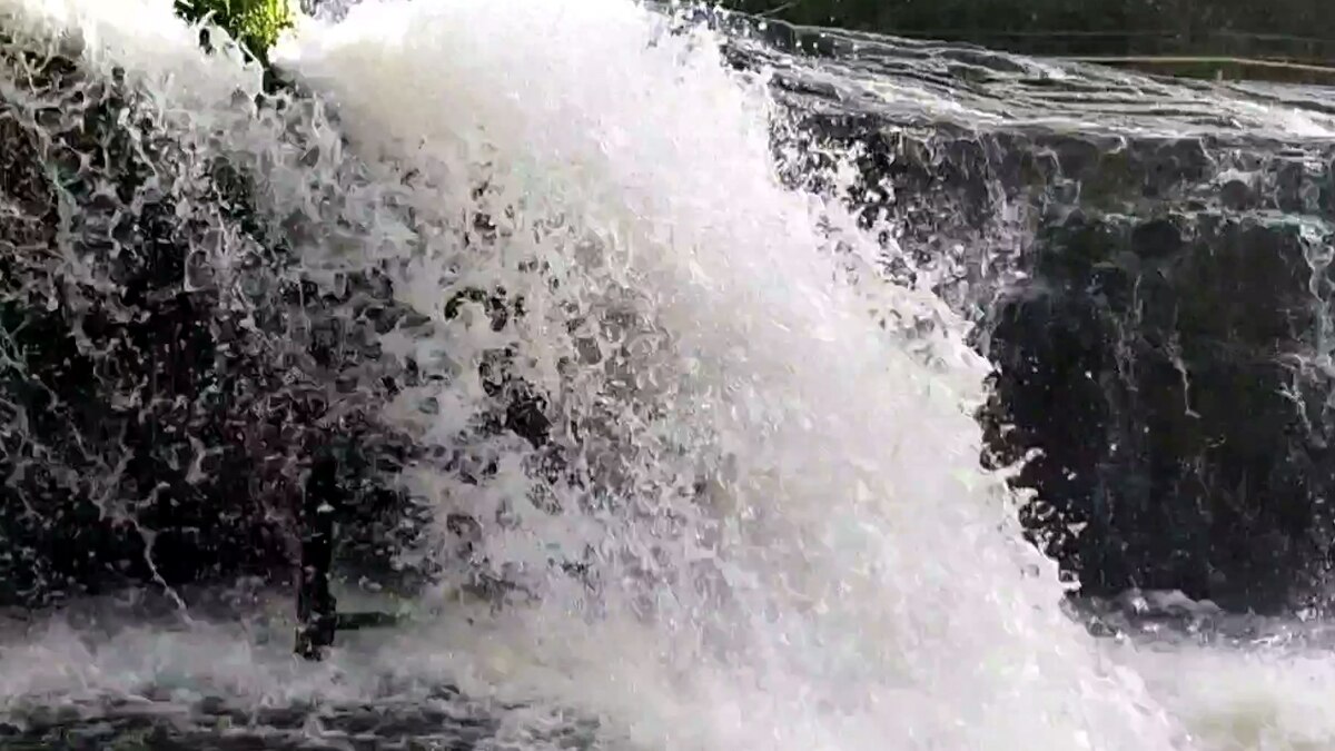 Kumbakarai Falls: கொட்டும் வெள்ளப்பெருக்கு..கும்பக்கரை அருவியில் சுற்றுலாப் பயணிகள் குளிக்க தடை..