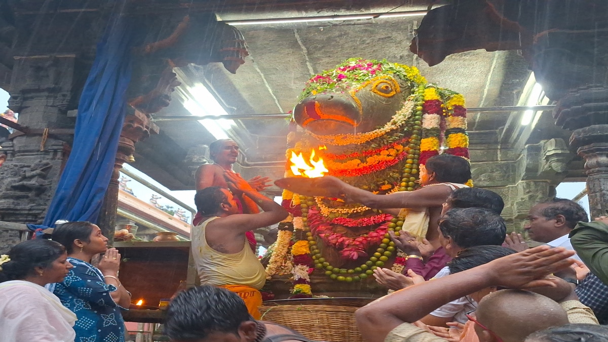 Tiruvannamalai: ‘ஓம் நமச்சிவாய ஓம் நமச்சிவாய’... கொட்டும் மழையில் நந்தியை மனமுருகி வேண்டிய பக்தர்கள்