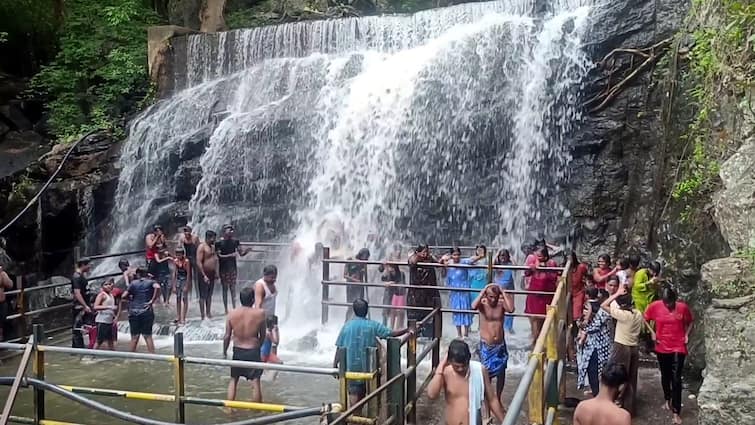 Suruli Falls summer rains water flow increases Tourists enjoy bathing enthusiastically - TNN Suruli Falls: சுருளி அருவியில் அதிகரித்த நீர்வரத்து...  சுற்றுலாப் பயணிகள் உற்சாக குளியல்