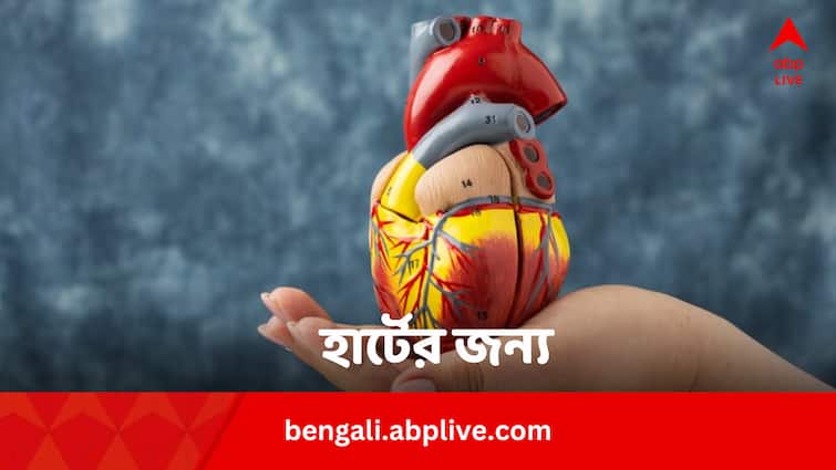 Low LDL Cholesterol Rich 8 Type Foods To Keep Heart Healthy In Bengali Foods For Healthy Heart: LDL কোলেস্টেরল কমায় এই খাবারগুলি, ছুঁতে পারবে না হার্টের রোগ
