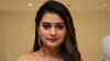 Payal Rajput: சம்பள பாக்கியை கேட்ட பிரபல நடிகை! மிரட்டிய தயாரிப்பாளர்கள் - என்ன நடந்தது?