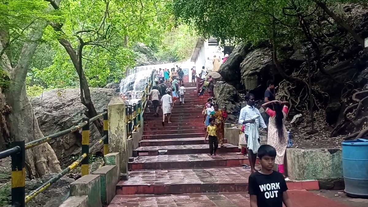 Suruli Falls: சுருளி அருவியில் அதிகரித்த நீர்வரத்து...  சுற்றுலாப் பயணிகள் உற்சாக குளியல்