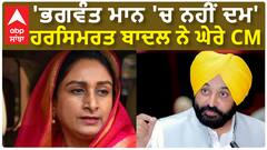 Harsimrat Badal| 'ਭਗਵੰਤ ਮਾਨ 'ਚ ਨਹੀਂ ਦਮ' ਹਰਸਿਮਰਤ ਬਾਦਲ ਨੇ ਘੇਰੇ CM