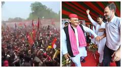 राहुल गांधी और अखिलेश यादव की रैली में क्यों मची भगदड़? सामने आई ये बड़ी वजह