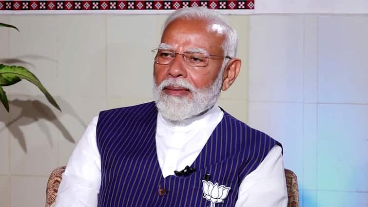 PM Modi Denies Targeting Minorities, Says BJP 'Not Ready To Accept Anyone As Special Citizens'