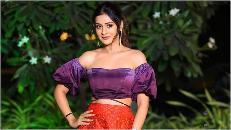 Payal Rajput opens up about how Rakshana movie producers troubling her Payal Rajput : ఆ ప్రొడ్యూసర్లు నా ఇమేజ్‌ను పాడుచేయాలని చూస్తున్నారు, వారిపై చట్టపరమైన చర్యలు తీసుకుంటాను - పాయల్ రాజ్‌పుత్