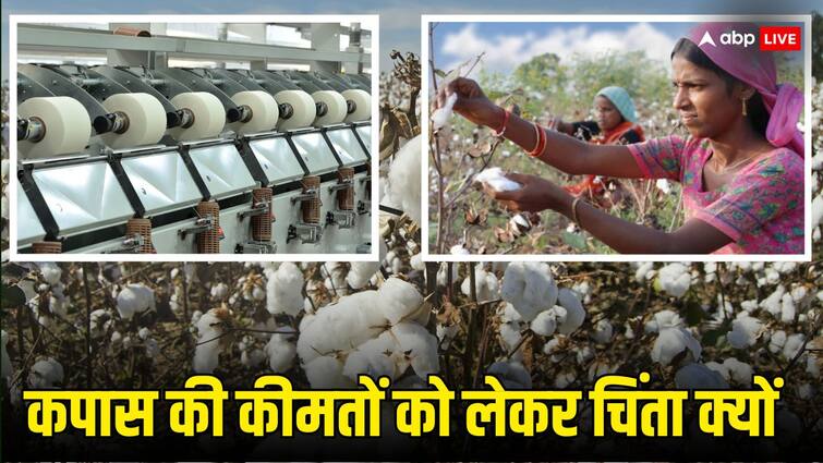 Cotton Prices feared to remain low this year despite good monsoon estimates Cotton farmer and textile industry worried Cotton Prices: अच्छे मानसून के अनुमान के बावजूद कपास की फसल को लेकर किसान परेशान, कपड़ा उद्योग पर दिखेगा असर