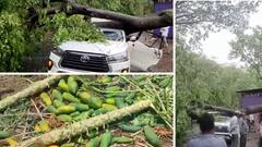 कोल्हापूर, छत्रपती संभाजीनगरमध्ये मान्सूनपूर्व पावसाचा धुमाकूळ; झाडं कोसळली, अनेक घरांचे छप्पर उडाले