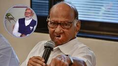 पंतप्रधान प्रचंड घाबरलेत, म्हणूनच मला भटकती आत्मा म्हणाले : शरद पवार