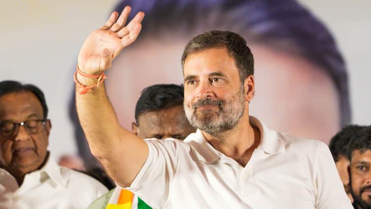 'Why Don't Truck Drivers, Auto Drivers Get To Write Essays': Rahul Reacts To Pune Accident
