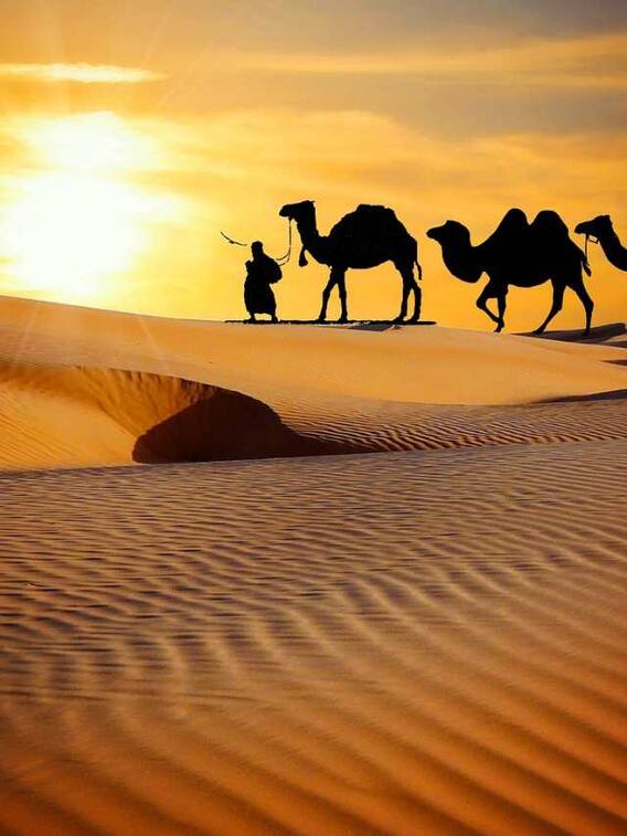 गर्मी हो या सर्दी... राजस्थान का चुरू क्यों चर्चा में रहता है?