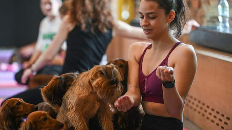 What Is Puppy Yoga? Why Italy Has Banned It And What Are Animal Activists' Concerns