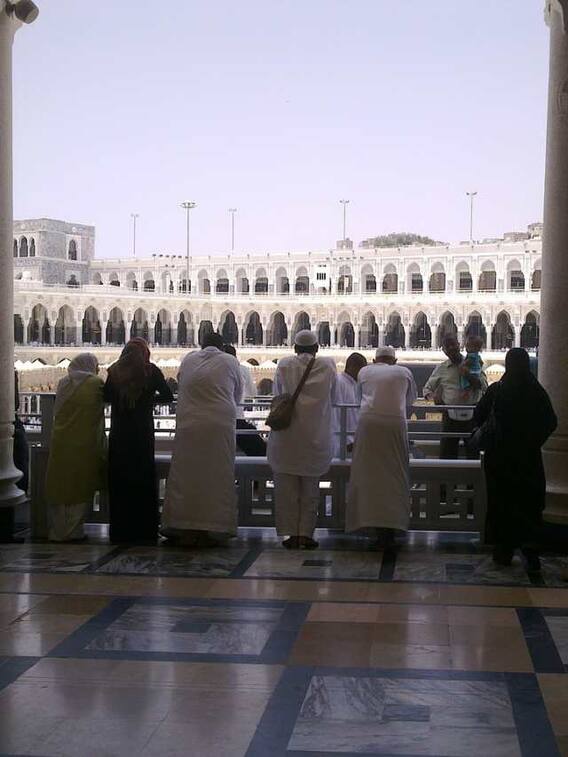 अरजाल में कौन-कौन सी जातियां शामिल हैं?