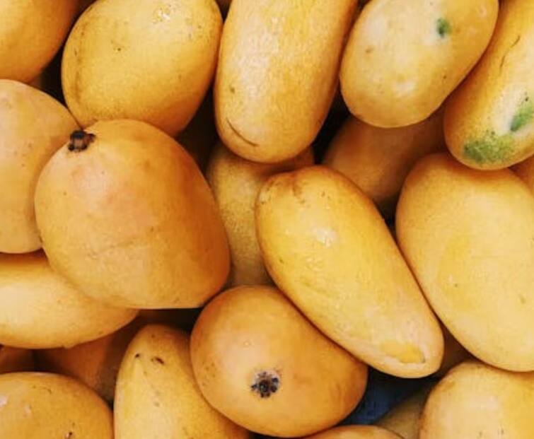 Lifestyle news read the side effects of mangoes overeating in summer season Health Tips: ઉનાળામાં વધુ પડતી કેરીઓ ખાવી બની શકે છે જોખમી, જાણો એક દિવસમાં કેટલી ખાઇ શકાય ?