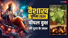 Vaishakh Purnima 2024: वैशाख पूर्णिमा पर करें पीपल पेड़ की पूजा, होंगे ये लाभ