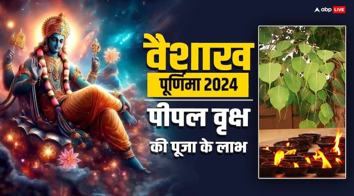 Vaishakh Purnima 2024: वैशाख माह की पूर्णिमा तिथि पर पीपल वृक्ष की पूजा का महत्व है. इसलिए इसे पीपल पूर्णिमा भी कहा जाता है. इस साल वैशाख पूर्णिमा गुरुवार 23 मई 2024 को पड़ रही है.