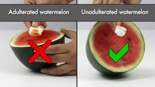 Adulteration in Watermelon: தர்பூசணியில் அதிகரிக்கும் கலப்படம்! வீட்டிலேயே சோதிப்பது எப்படி தெரியுமா? அரசு விளக்கம்..
