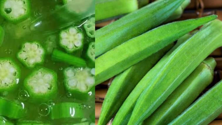 Benefits of okra water Do you know about the benefits of okra water it cures many diseases Benefits Of Okra Water:ਕੀ ਤੁਸੀਂ ਭਿੰਡੀ ਦੇ ਪਾਣੀ ਦੇ ਫਾਇਦਿਆਂ ਬਾਰੇ ਜਾਣਦੇ ਹੋ?, ਸੁਣ ਕੇ ਅੱਖਾਂ ਰਹਿ ਜਾਣਗੀਆਂ ਖੁੱਲ੍ਹੀਆਂ