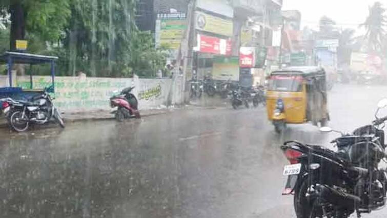 Widespread heavy rains in Thanjavur district: Farmers happy TNN தஞ்சை மாவட்டத்தில் பரவலாக பெய்த கனமழை: விவசாயிகள் மகிழ்ச்சி