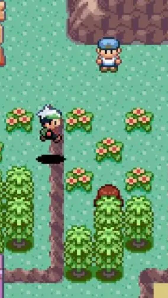 Pokemon Emerald Cheat Codes: How To Activate The Ghost Mode