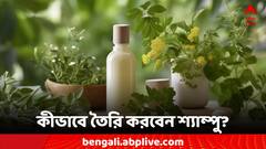 Homemade Ayurvedic Shampoo: চুল পড়া নিয়ে বাড়ছে শঙ্কা! ঝটপট বাড়িতেই বানিয়ে ফেলুন শ্যাম্পু