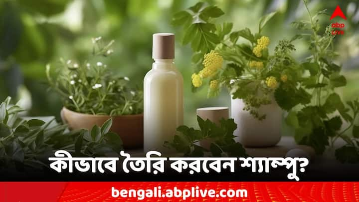 Lifestyle Tips: সহজ পদ্ধতিতে এবার দূর হবে চুল পড়ার সমস্যা