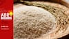 Arsenic In Rice: How It Impacts Your Life And Why NGT Issued Notice To Centre — All You Need To Know