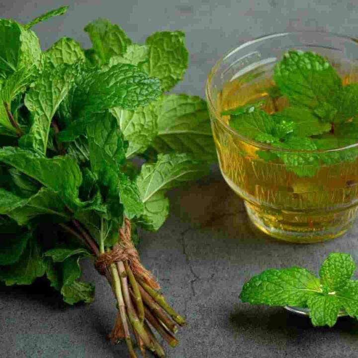 ਗਰਮੀਆਂ ਵਿੱਚ, ਪੁਦੀਨਾ ਜ਼ਿਆਦਾਤਰ ਘਰਾਂ ਦੀਆਂ ਸਬਜ਼ੀਆਂ ਦੀ ਟੋਕਰੀ ਵਿੱਚ ਆਸਾਨੀ ਨਾਲ ਮਿਲ ਜਾਂਦਾ ਹੈ। ਤੁਸੀਂ ਇਸ ਦੀ ਵਰਤੋਂ ਨਾ ਸਿਰਫ਼ ਖਾਣੇ ਦਾ ਸਵਾਦ ਵਧਾਉਣ ਲਈ ਕਰ ਸਕਦੇ ਹੋ, ਸਗੋਂ ਇਹ ਤੁਹਾਡੀ ਚਮੜੀ ਨੂੰ ਤਰੋਤਾਜ਼ਾ ਰੱਖ ਕੇ ਚਮੜੀ ਦੀਆਂ ਕਈ ਸਮੱਸਿਆਵਾਂ ਤੋਂ ਛੁਟਕਾਰਾ ਦਿਵਾ ਸਕਦਾ ਹੈ। ਤਾਂ ਆਓ ਜਾਣਦੇ ਹਾਂ ਚਮੜੀ 'ਤੇ ਪੁਦੀਨੇ ਦੀ ਵਰਤੋਂ ਕਿਵੇਂ ਕਰੀਏ।