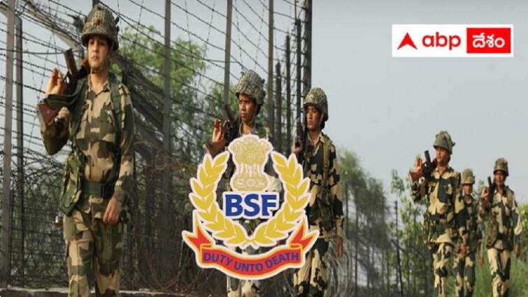 border security force has released notification for the recruitment of veterinary staff posts BSF: బీఎస్‌ఎఫ్‌లో వెటర్నరీ స్టాఫ్‌ పోస్టులు, వివరాలు ఇలా