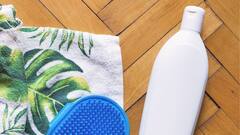 Homemade Ayurvedic Shampoo: চুল পড়া নিয়ে বাড়ছে শঙ্কা! ঝটপট বাড়িতেই বানিয়ে ফেলুন শ্যাম্পু