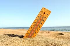 Summer Health: હિટ સ્ટ્રોક અને ડિહાઇડ્રેશનથી બચવા ડાયટમા સામેલ કરો આ વસ્તુઓ