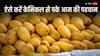 Mangoes: कहीं खतरनाक केमिकल वाले आम तो नहीं खा रहे हैं आप? घर पर ऐसे करें पहचान