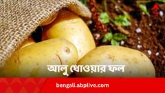 Starch Benefits: আলু কাটার পর ধুলে উপকার না ক্ষতি ?