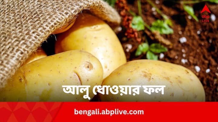 Potato Washing After Cutting Good Or Bad: আলু কেটে অনেকে একটু জল দিয়ে ধুয়ে নেন। অথবা রান্না করার আগে এর মধ্য়ে নুন মাখিয়ে নেন। এগুলি কি স্বাস্থ্যকর অভ্যাস আদৌ ?