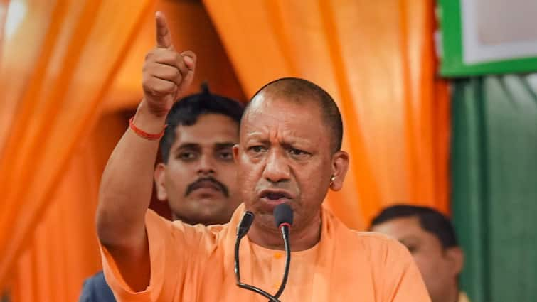 CM Yogi Adityanath says if firecracker is burst in India then Pakistan has to say it is not my hand ann Lok Sabha Election 2024: अगर भारत में पटाखा फूटता है तो पाकिस्तान को कहना पड़ता है मेरा हाथ नहीं- सीएम योगी