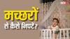 Home Tips: मच्छरों ने मुश्किल कर दिया है जीना तो घर में रख लीजिए यह घास, एक भी मच्छर नहीं फटकेगा पास