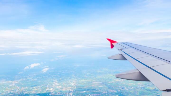 सफर में खाने के लिए अधिकांश लोग फल रख लेते हैं. लेकिन आपको जानकर ताज्जुब होगा कि फ्लाइट में सफर के दौरान आप सभी फल भी लेकर नहीं जा सकते हैं. कुछ खाने का सामान भी सिक्योरिटी चेकिंग के दौरान आपके बैग से निकाला जा सकता है.