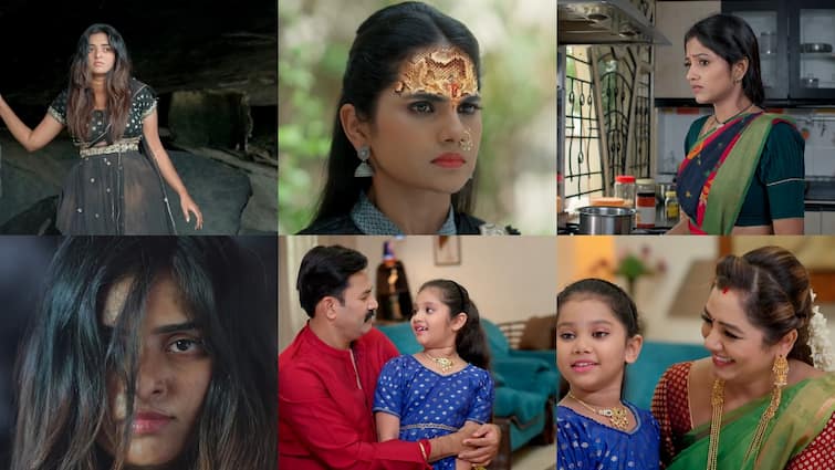 naga panchami serial today may 21st episode written update in telugu Naga Panchami Serial Today May 21st : 'నాగ పంచమి' సీరియల్: నాగేశ్వరికి వార్నింగ్ ఇచ్చిన పంచమి.. ఆరేళ్ల తర్వాత నిద్ర లేచిన కరాళి!